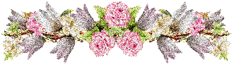 Lijnen Bloemen en natuur 