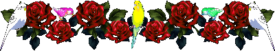 Lijnen Bloemen en natuur 