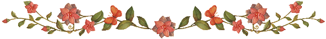 Lijnen Bloemen en natuur 