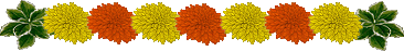 Lijnen Bloemen en natuur 