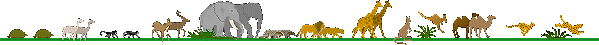 Dieren Lijnen 