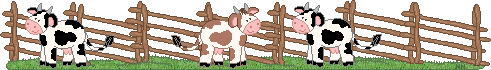 Dieren Lijnen 