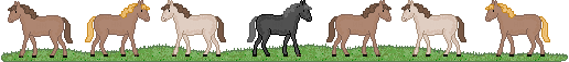 Dieren Lijnen 
