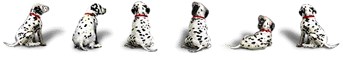 Dieren Lijnen 