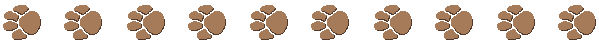 Dieren Lijnen 