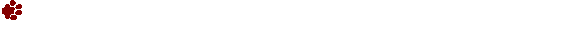 Dieren Lijnen 