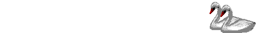 Dieren Lijnen 