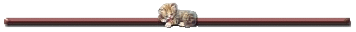Dieren Lijnen 