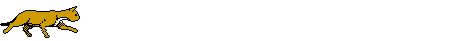 Dieren Lijnen 
