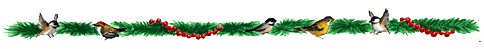Dieren Lijnen 