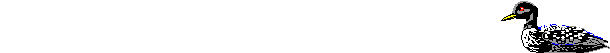 Dieren Lijnen 