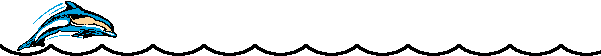Dieren Lijnen 