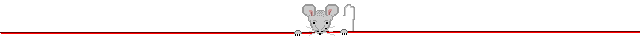 Dieren Lijnen 