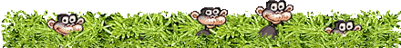 Dieren Lijnen 