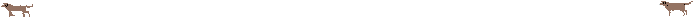 Dieren Lijnen 
