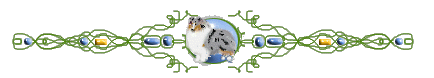 Dieren Lijnen 