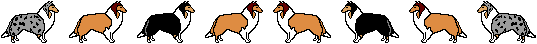 Dieren Lijnen 