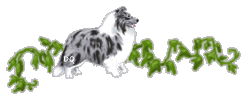 Dieren Lijnen 