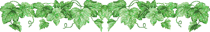 Glitter Lijnen 
