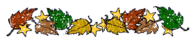 Glitter Lijnen 