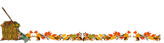 Lijnen Herfst 