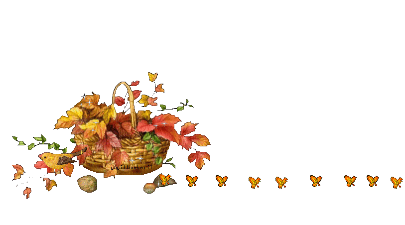 Lijnen Herfst 