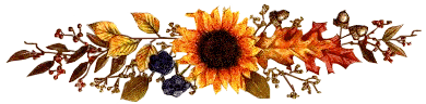 Lijnen Herfst 