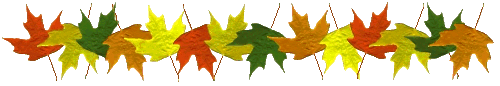 Lijnen Herfst 