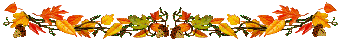 Lijnen Herfst 
