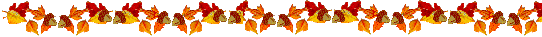 Lijnen Herfst 