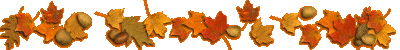 Lijnen Herfst 