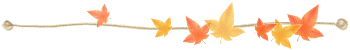 Lijnen Herfst 