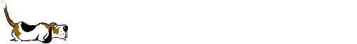Honden Lijnen 