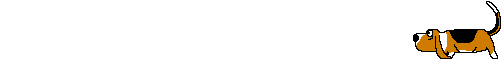 Honden Lijnen 