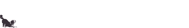 Honden Lijnen 