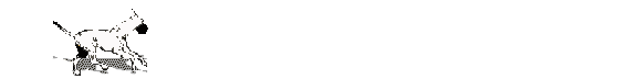Honden Lijnen 