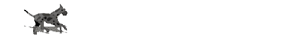 Honden Lijnen 