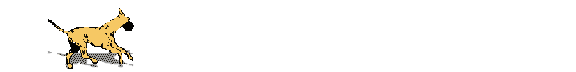 Honden Lijnen 