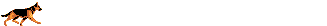 Honden Lijnen 