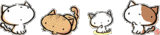 Katten Lijnen 