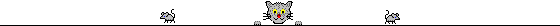 Katten Lijnen 