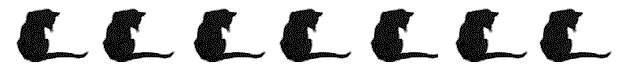 Katten Lijnen 