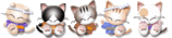 Katten Lijnen 