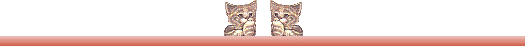 Katten Lijnen 