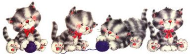 Katten Lijnen 