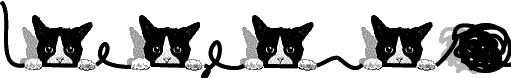 Katten Lijnen 