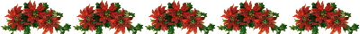 Kerst Lijnen 
