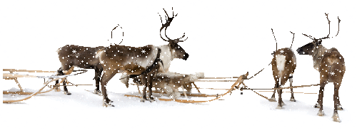 Kerst Lijnen 
