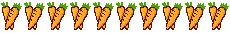 Sinterklaas Lijnen 