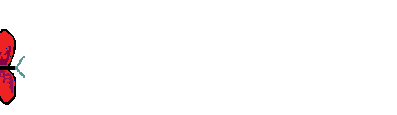 Vlinders Lijnen 